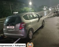 сбил лежавшую на дороге