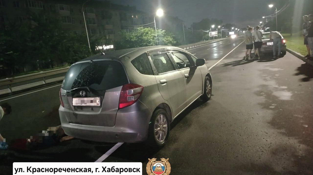 сбил лежавшую на дороге