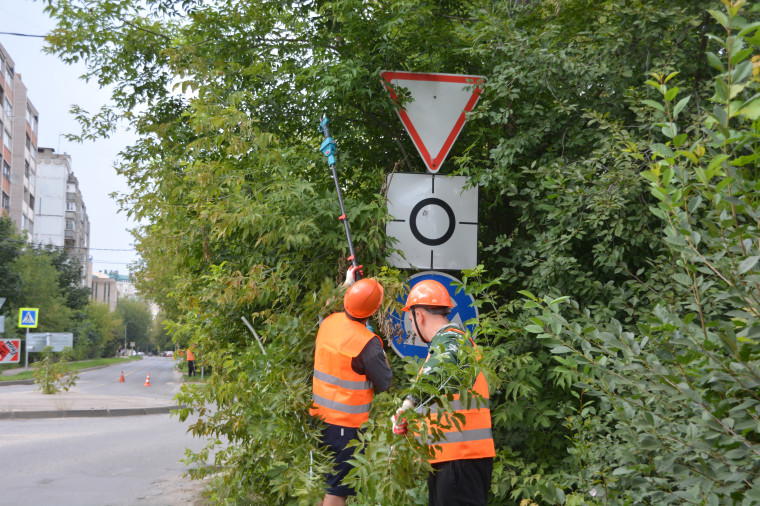 В Иванове завершают обрезку деревьев у дорожных знаков