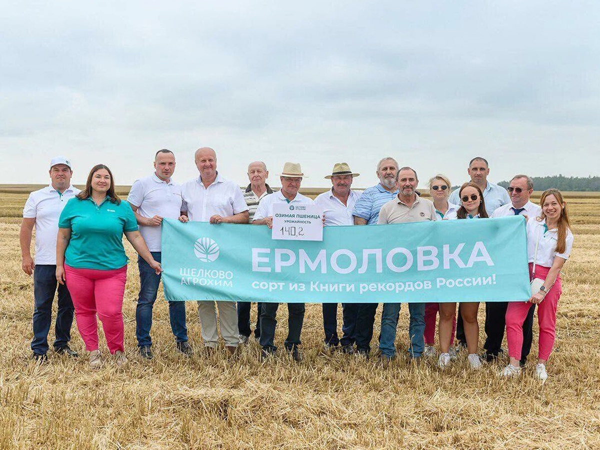 Озимая пшеница «Щёлково Агрохим» побила мировой рекорд