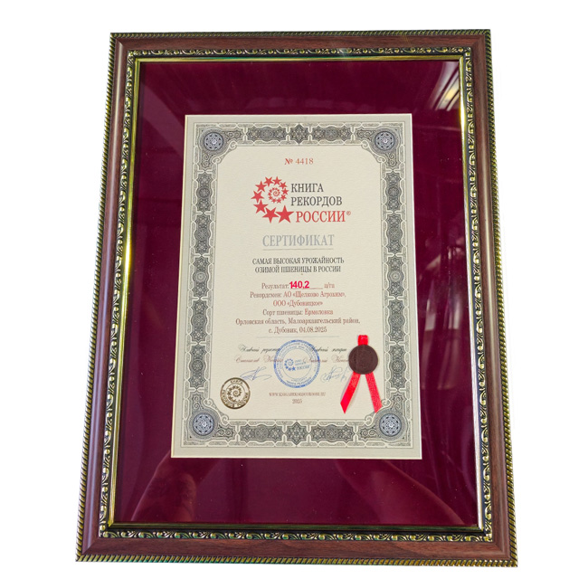 Озимая пшеница «Щёлково Агрохим» побила мировой рекорд