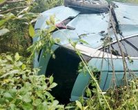 В Новгородской области перевернулся кроссовер Jetour Dashing