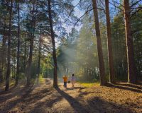 Экоцентр "Лесной дом"