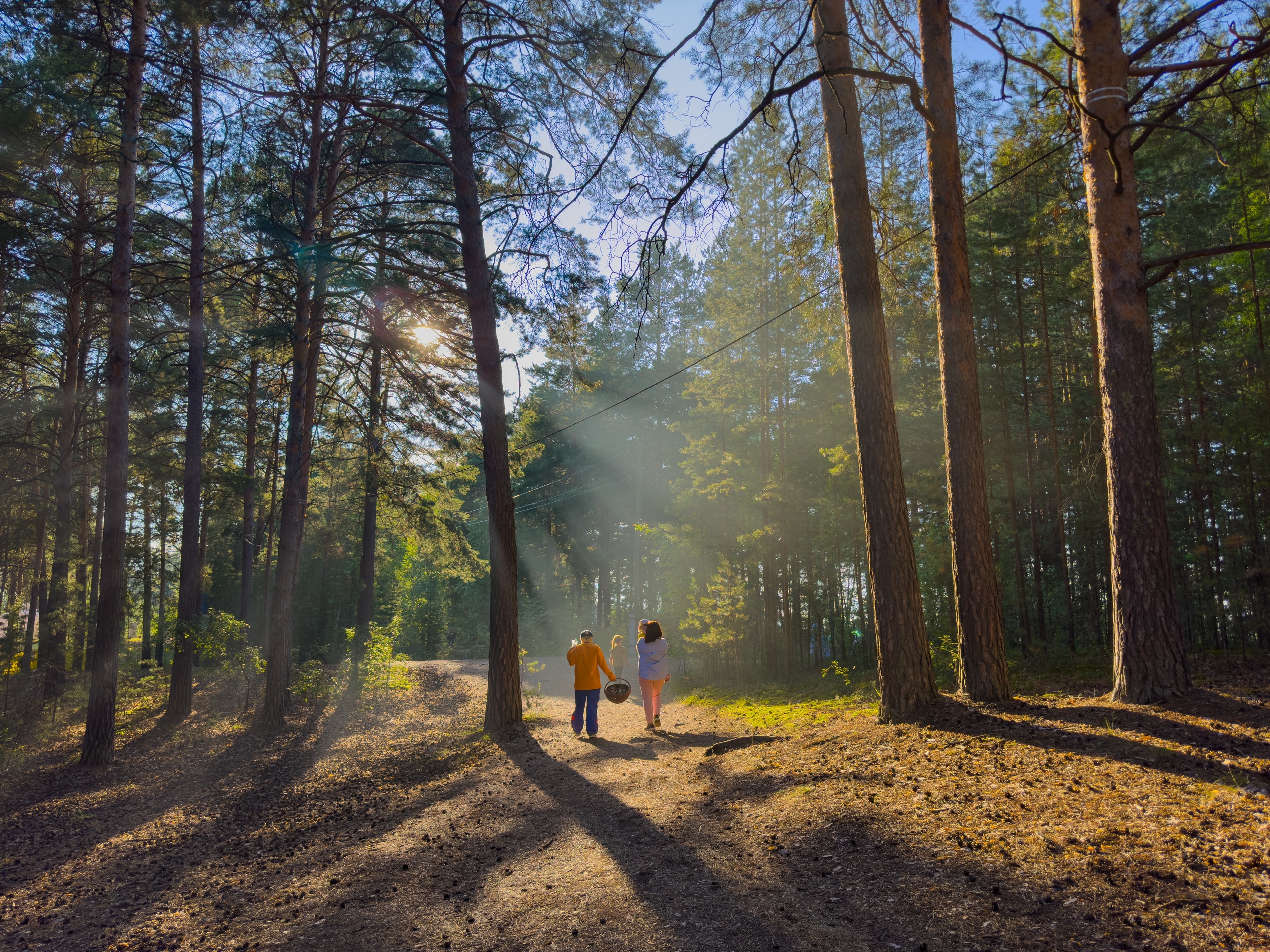 Экоцентр "Лесной дом"