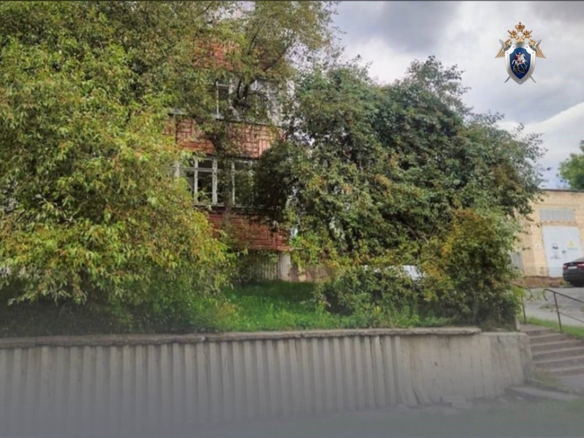 плитка пришибла ребенка в Трехгорном