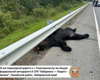 Хабаровский край