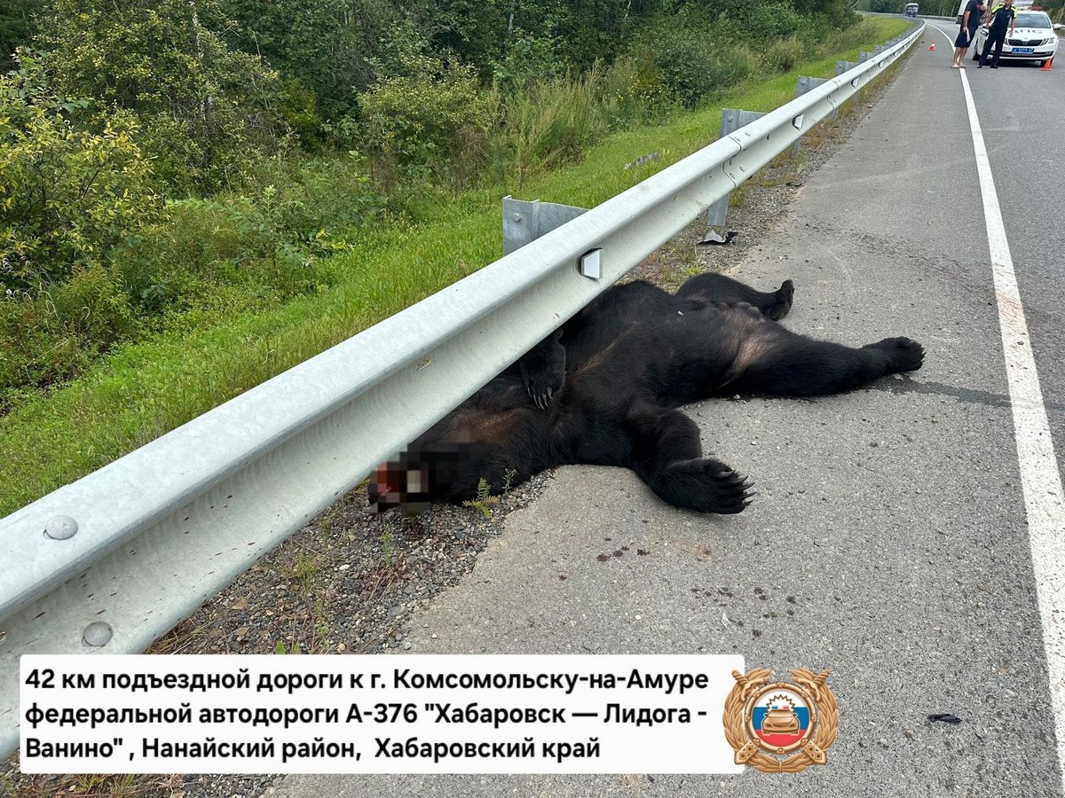 Хабаровский край