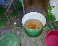 Амурская область