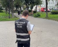 В Иванове мать ударила ребенка головой об асфальт