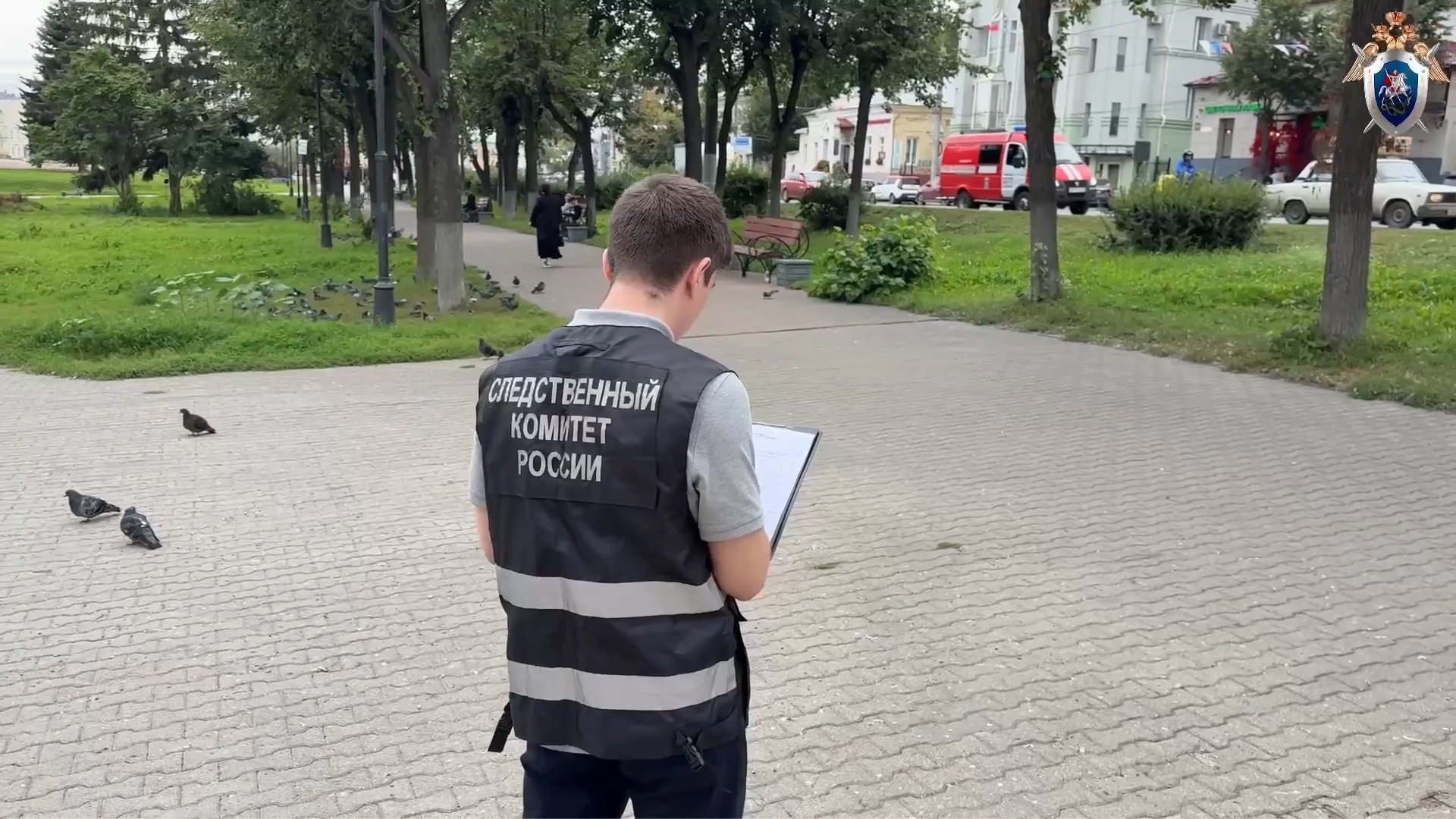 В Иванове мать ударила ребенка головой об асфальт