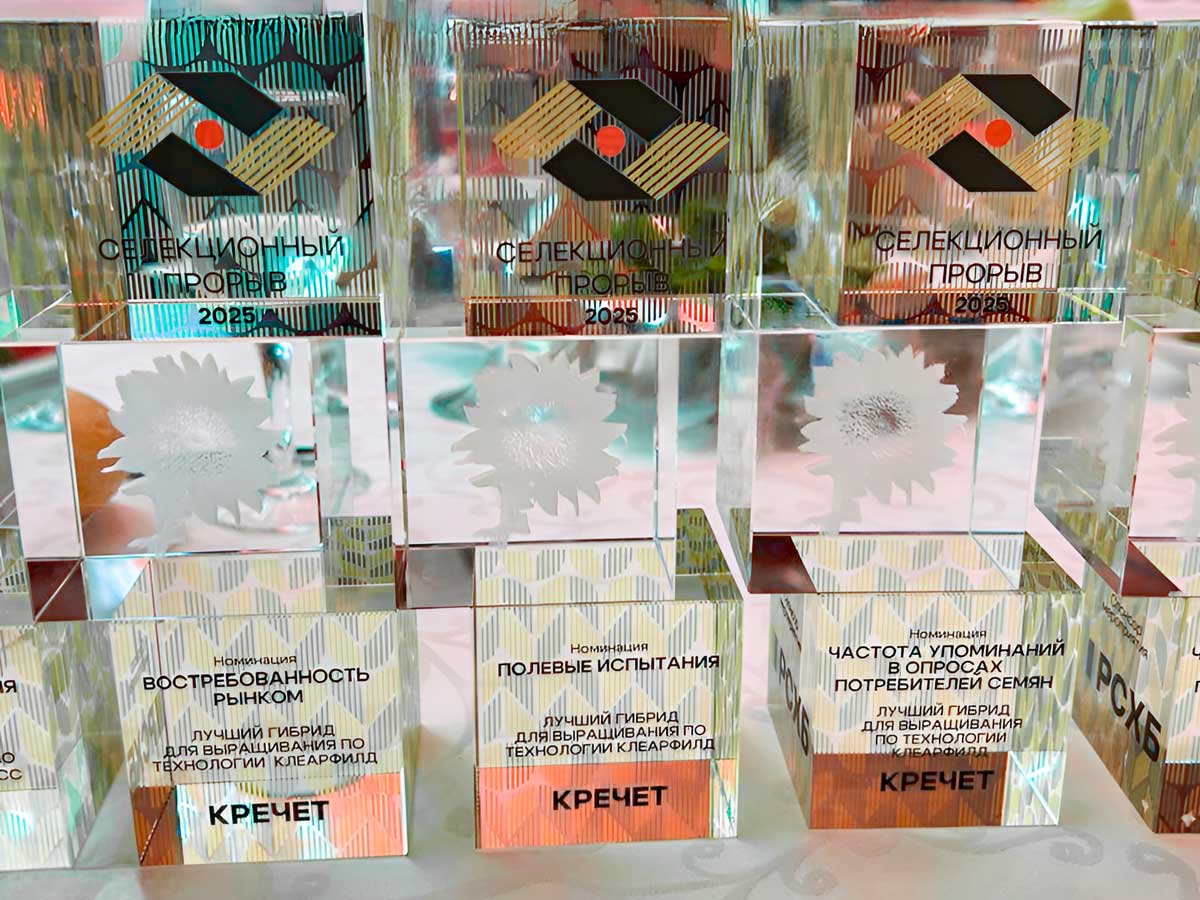 Селекция «Щелково Агрохим» покоряет «Русское поле» и всю Россию!