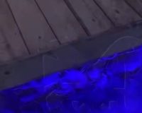 лавочка ударила током