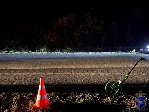 насмерть сбили