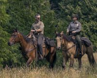 сериал "В глуши"