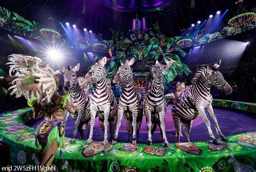 В Ярославле представят грандиозное шоу «Бурлеск»