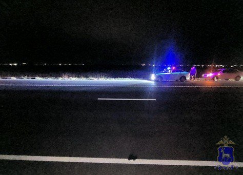 сбили насмерть самара