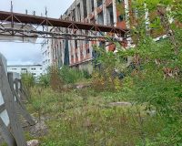 Человек-паук из новгородского подростка не получился