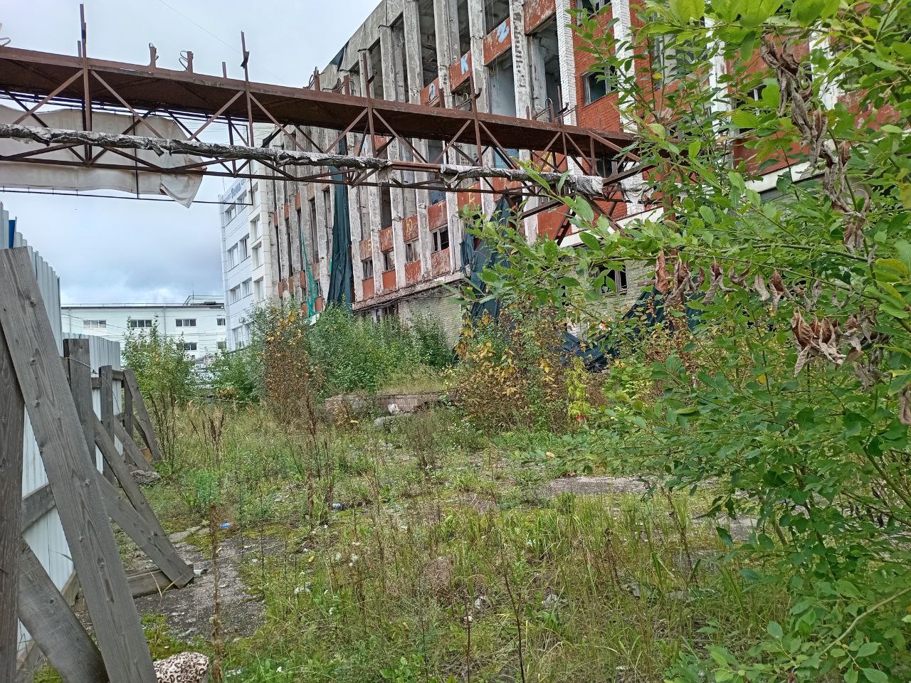 Человек-паук из новгородского подростка не получился