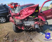 дтп борский