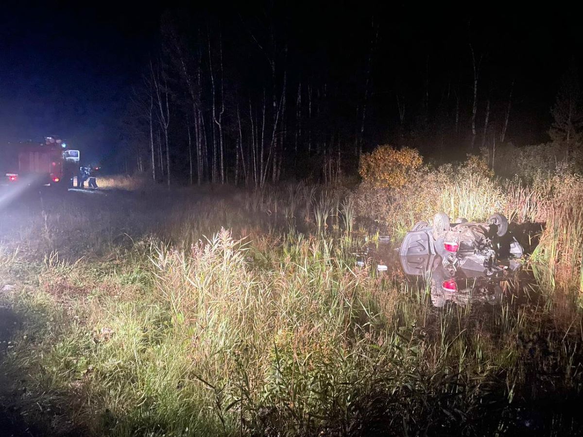 перевернулся и погиб в болоте