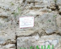 штольни опасность