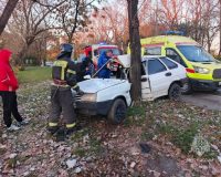 стал подковой при ударе о дерево