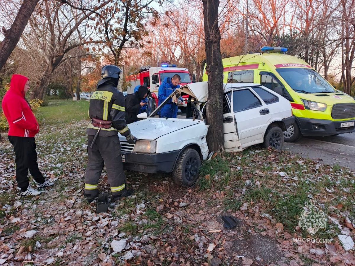 стал подковой при ударе о дерево