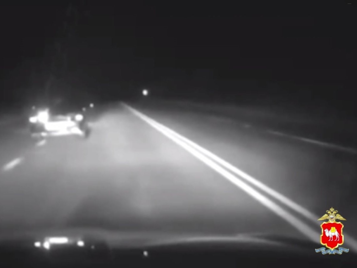 стреляли по пьяному нарушителю