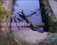 дети издеваются над трупом