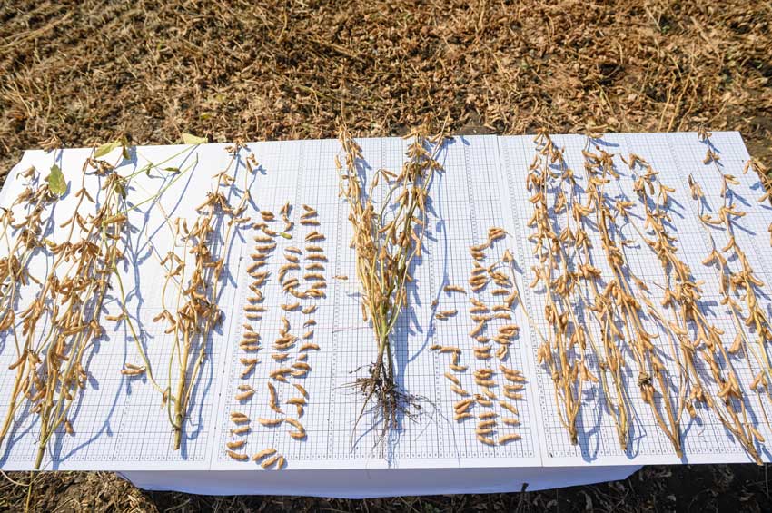 «Самарские