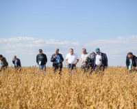 Самарские встречи