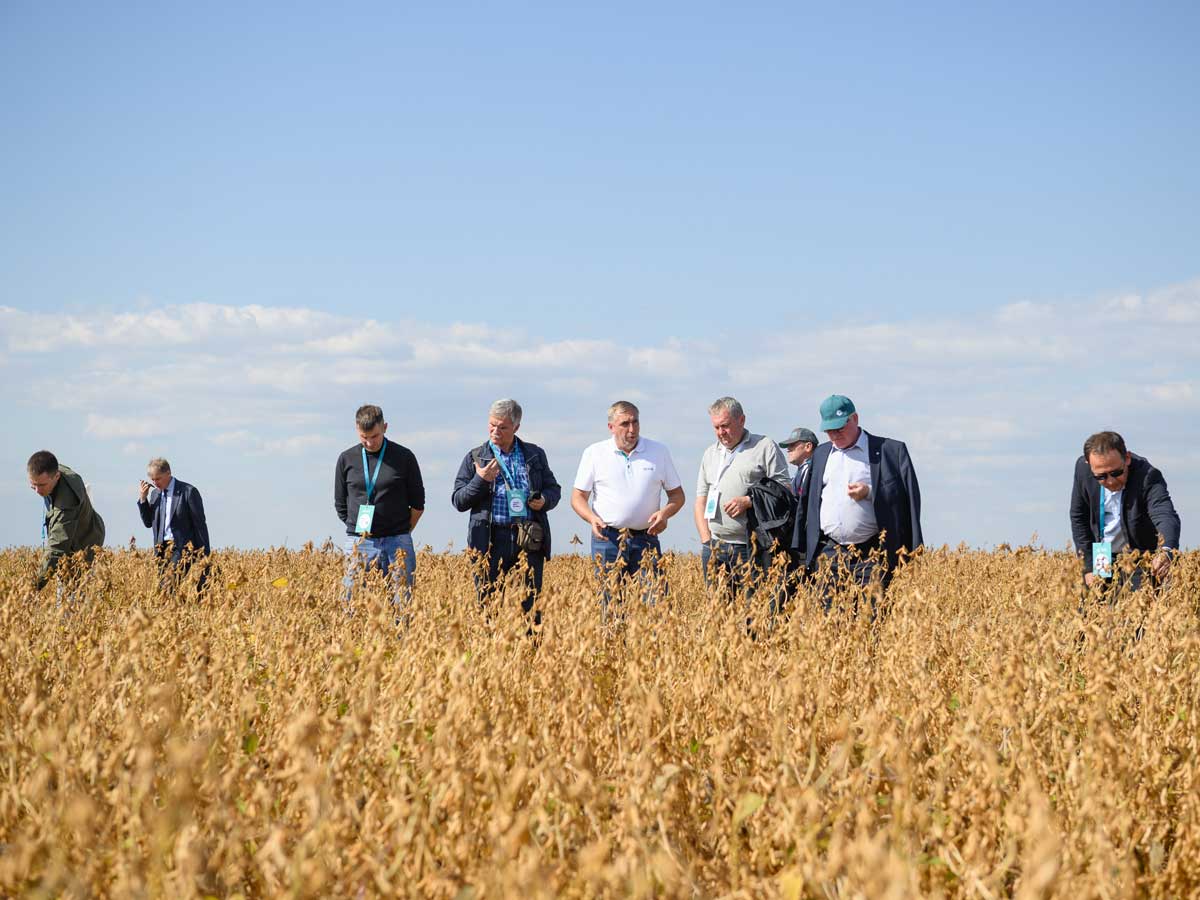 Самарские встречи