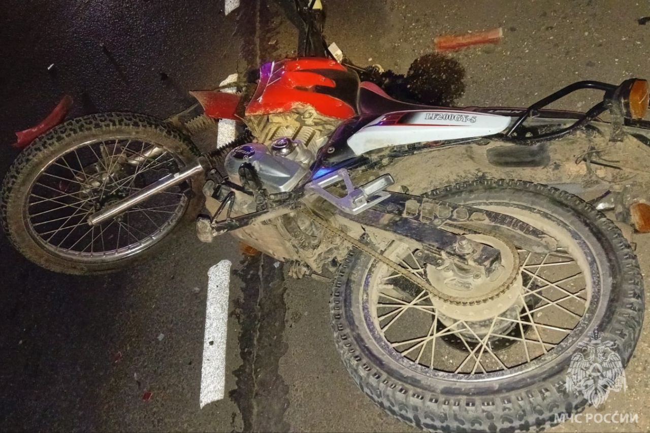 В Ивановской области подросток на мопеде столкнулся с лосем