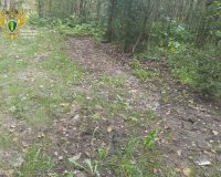 Ивановская прокуратура заставила убрать несанкционированную свалку в лесу