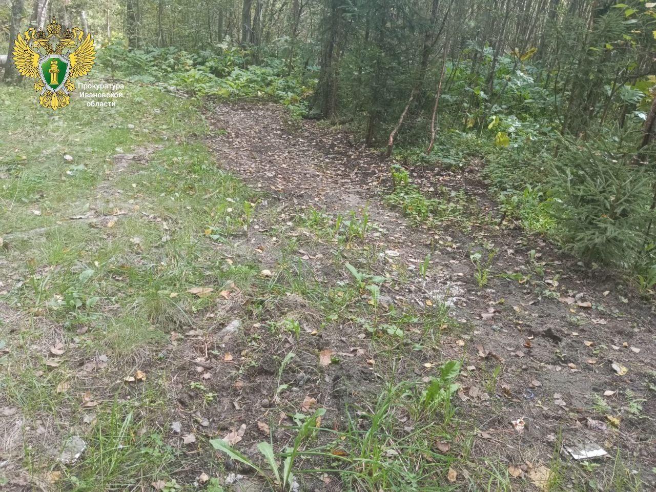 Ивановская прокуратура заставила убрать несанкционированную свалку в лесу
