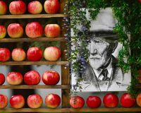 Евгений Первышов