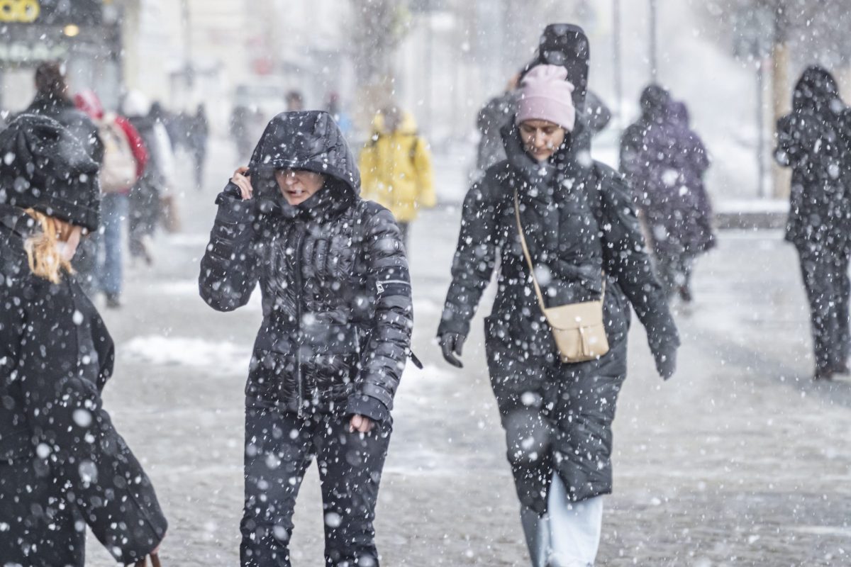 зима, люди, снег