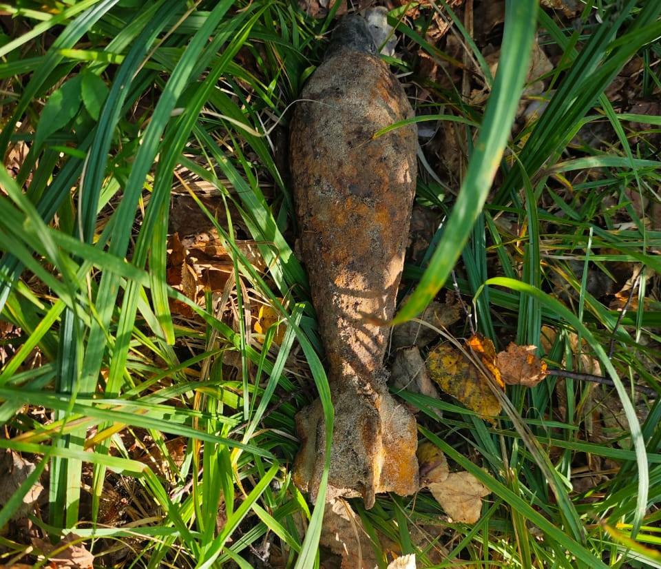 Под Тамбовом грибник нашел в лесу под деревом минометную мину