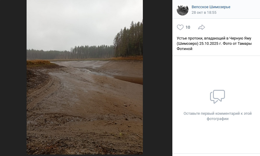 «Шимозеро»