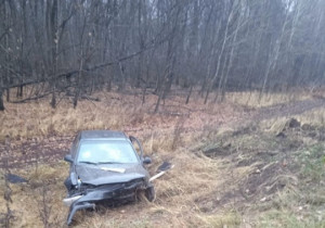 улетел в кювет