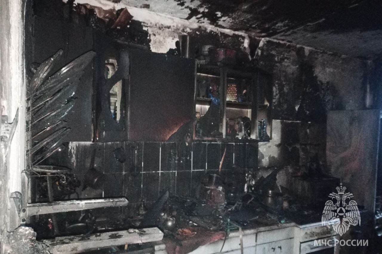 В Иванове из-за неисправного холодильника погибла кошка