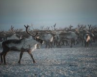 Вместе в цифровое будущее: стартует юбилейный конкурс для региональных ИТ-журналистов и блогеров