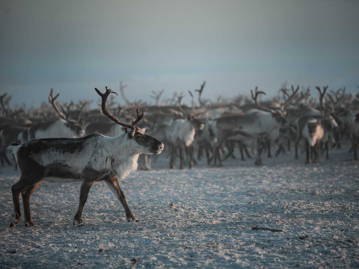 Вместе в цифровое будущее: стартует юбилейный конкурс для региональных ИТ-журналистов и блогеров