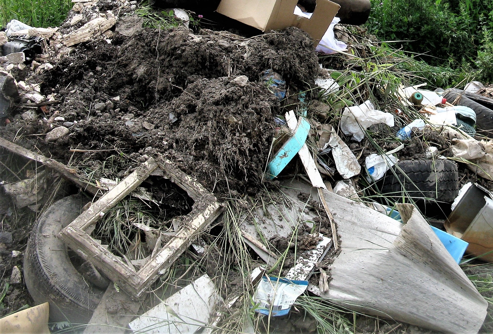 Суд запретил эксплуатацию полигона твердых бытовых отходов в Чудовском районе