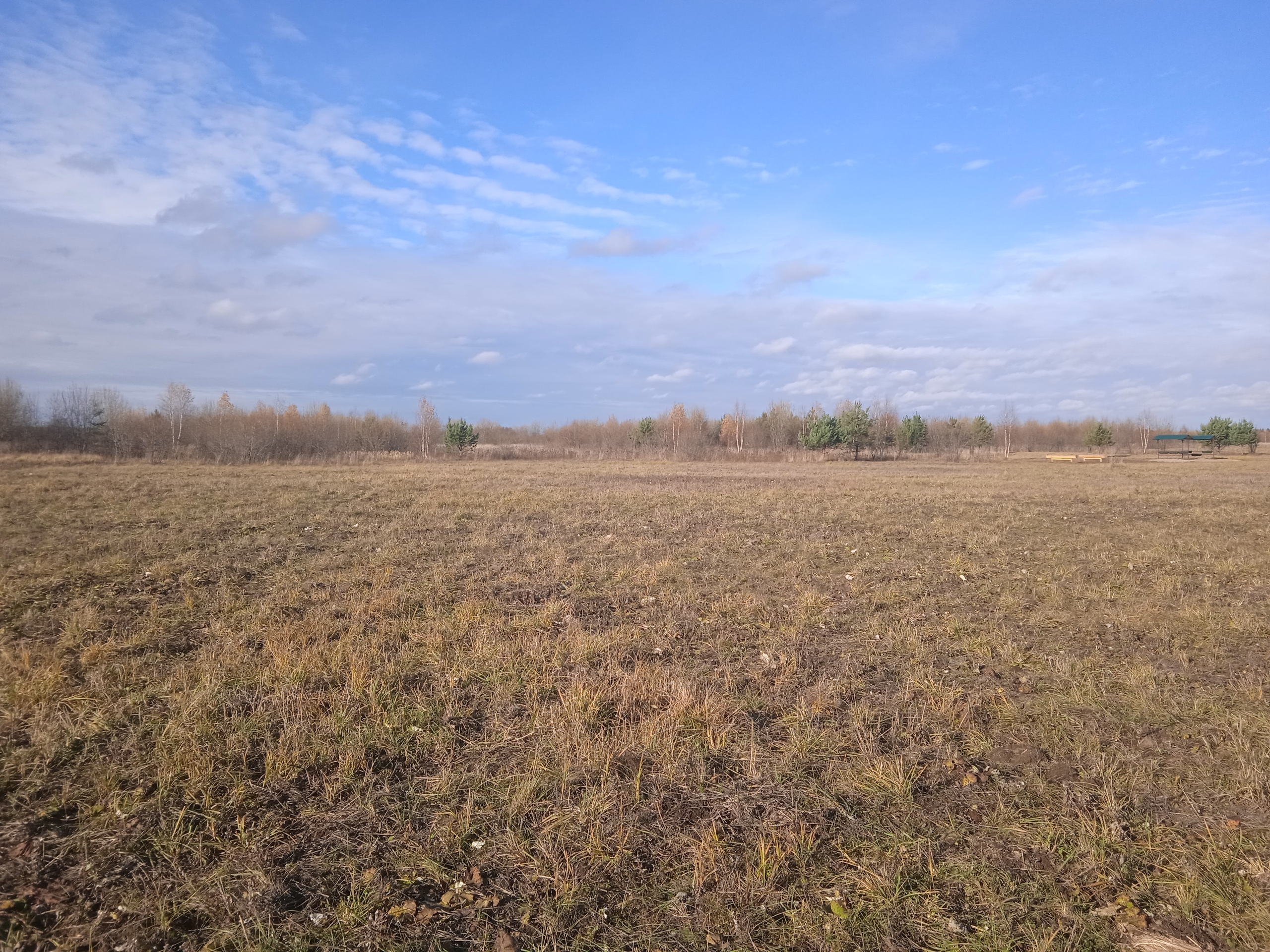 В Родниковском районе один охотник случайно выстрелил в другого