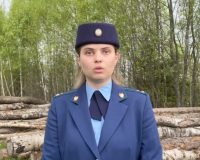 За смерть лесоруба на Новгородчине будут судить гендиректора ООО, занимавшегося лесозаготовкой