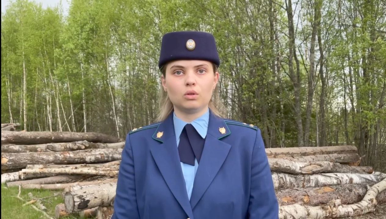 За смерть лесоруба на Новгородчине будут судить гендиректора ООО, занимавшегося лесозаготовкой