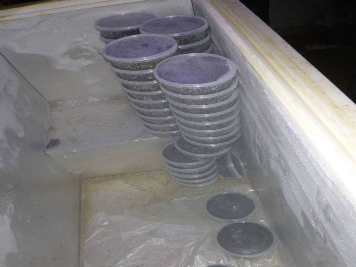 Хабаровский край