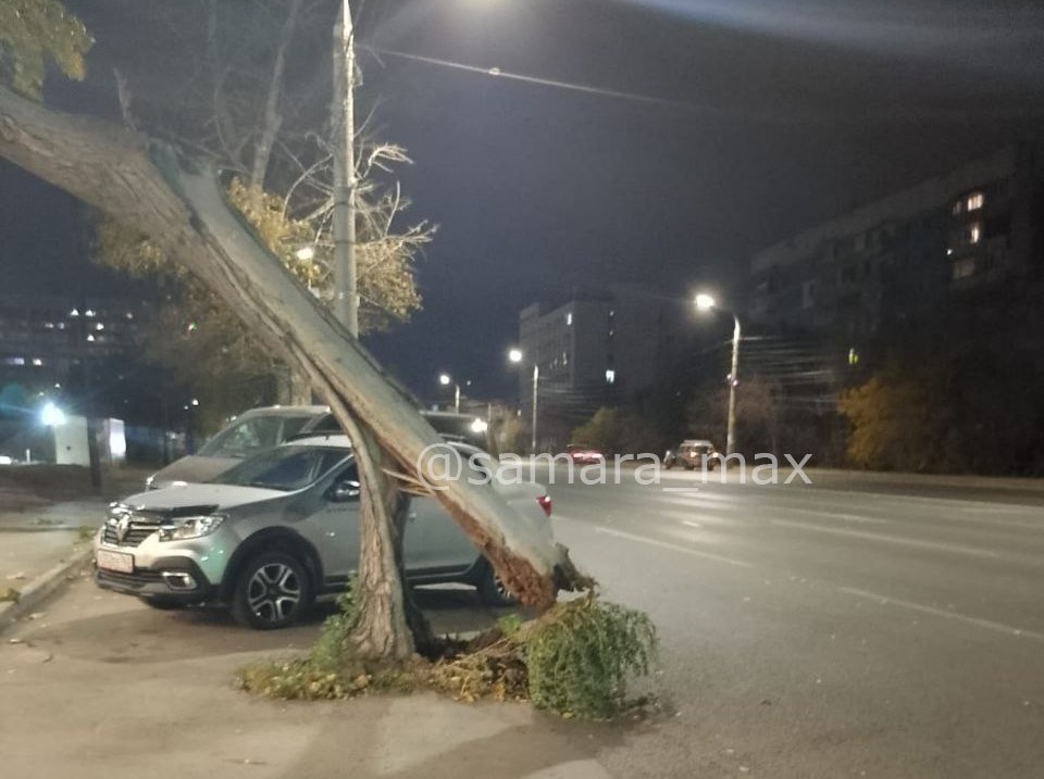 упали деревья