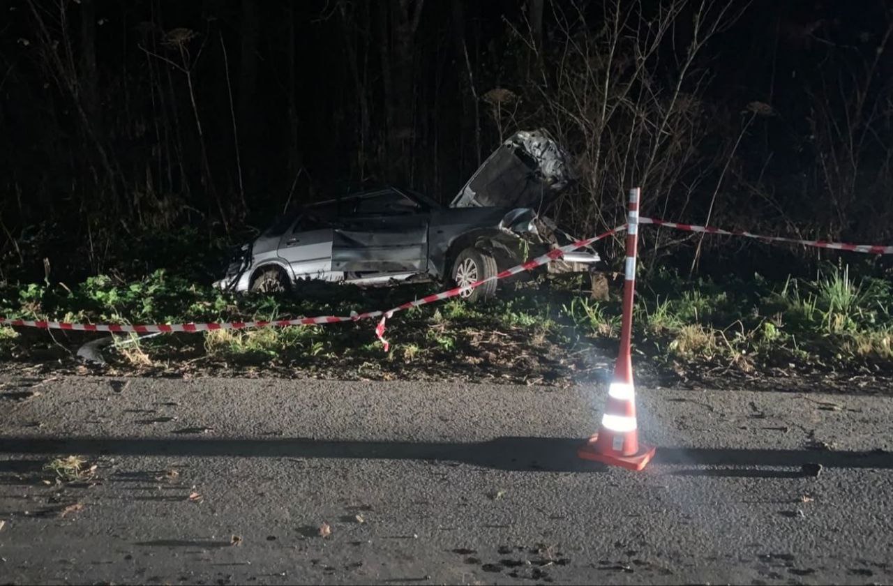 В Новгородской области погиб пассажир автомобиля, за рулём которого был пьяный шофёр